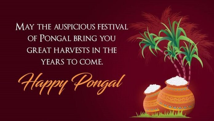 Pongal-wishes