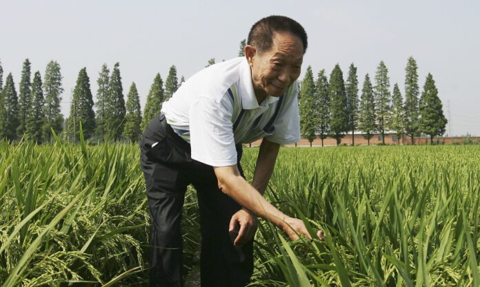 Yuan-Longping-the-Father-of-Hybrid-Rice.-scaled