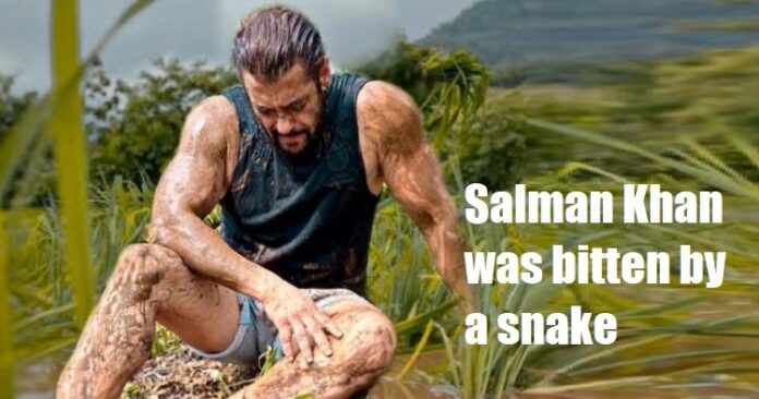 Salman Khan bitten by snake